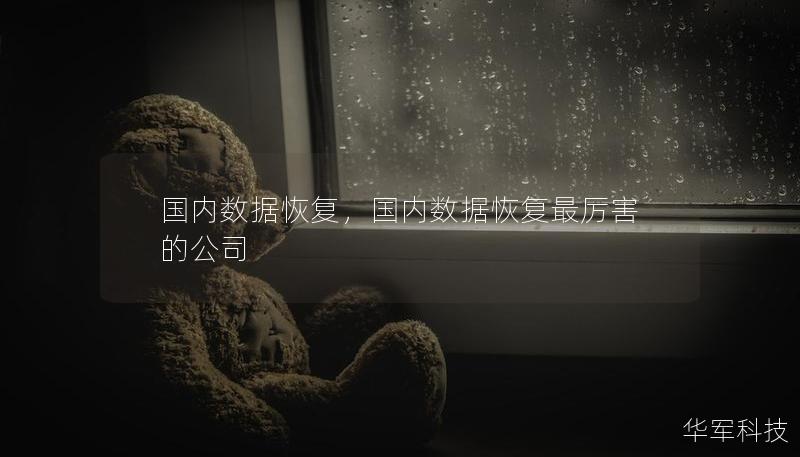 國內(nèi)數(shù)據(jù)恢復(fù),國內(nèi)數(shù)據(jù)恢復(fù)最厲害的公司 國內(nèi)數(shù)據(jù)恢復(fù),國內(nèi)數(shù)據(jù)恢復(fù)最厲害的公司
