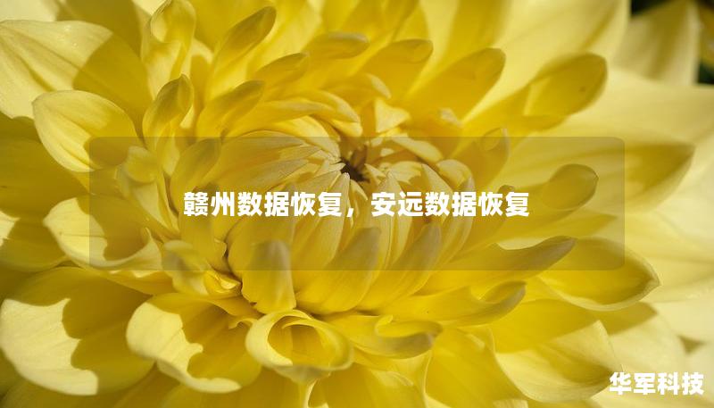 贛州數(shù)據(jù)恢復(fù)，安遠數(shù)據(jù)恢復(fù)