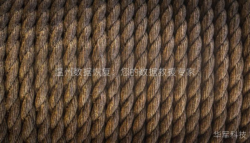 溫州數據恢復:您的數據救援專家 溫州數據恢復:您的數據救援專家