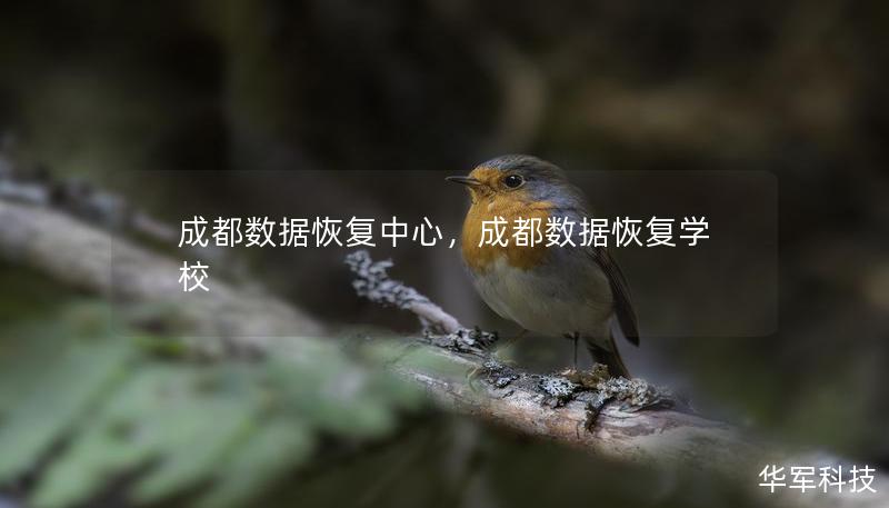 成都數據恢復中心，成都數據恢復學校
