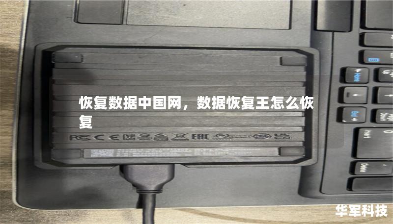 恢復(fù)數(shù)據(jù)中國網(wǎng)，數(shù)據(jù)恢復(fù)王怎么恢復(fù)
