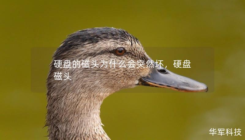 硬盤的磁頭為什么會突然壞，硬盤 磁頭