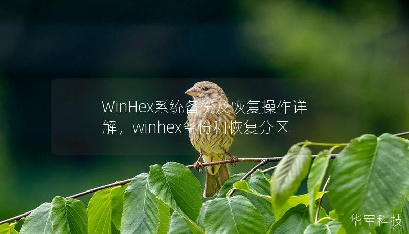 WinHex系統備份及恢復操作詳解，winhex備份和恢復分區