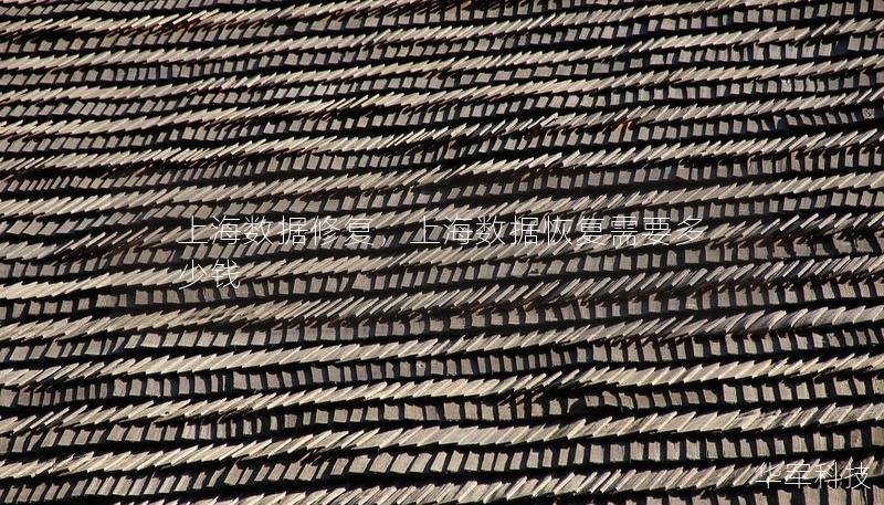 上海數(shù)據(jù)修復(fù)，上海數(shù)據(jù)恢復(fù)需要多少錢