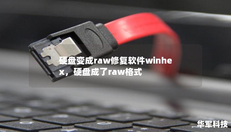 硬盤變成raw修復軟件winhex，硬盤成了raw格式