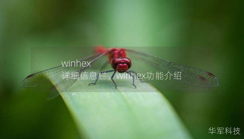 winhex 詳細信息欄，winhex功能介紹
