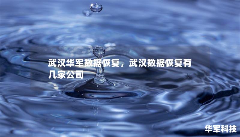 武漢技王數據恢復，武漢數據恢復有幾家公司