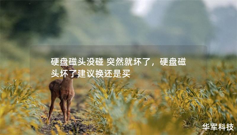 硬盤磁頭沒碰 突然就壞了，硬盤磁頭壞了建議換還是買