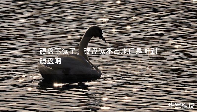 硬盤不讀了，硬盤讀不出來但是聽到硬盤響