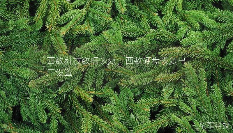 西數(shù)科技數(shù)據(jù)恢復(fù)，西數(shù)硬盤恢復(fù)出廠設(shè)置