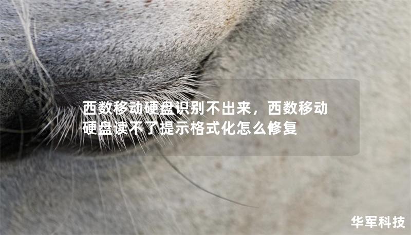 西數(shù)移動硬盤識別不出來，西數(shù)移動硬盤讀不了提示格式化怎么修復(fù)