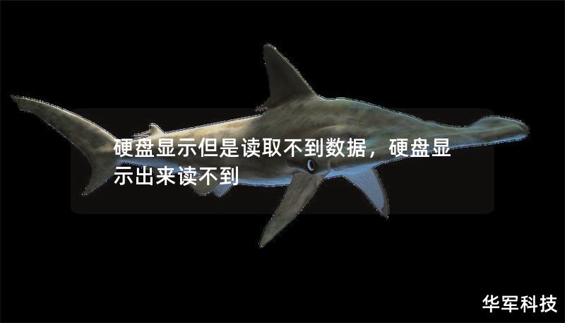 硬盤顯示但是讀取不到數據，硬盤顯示出來讀不到