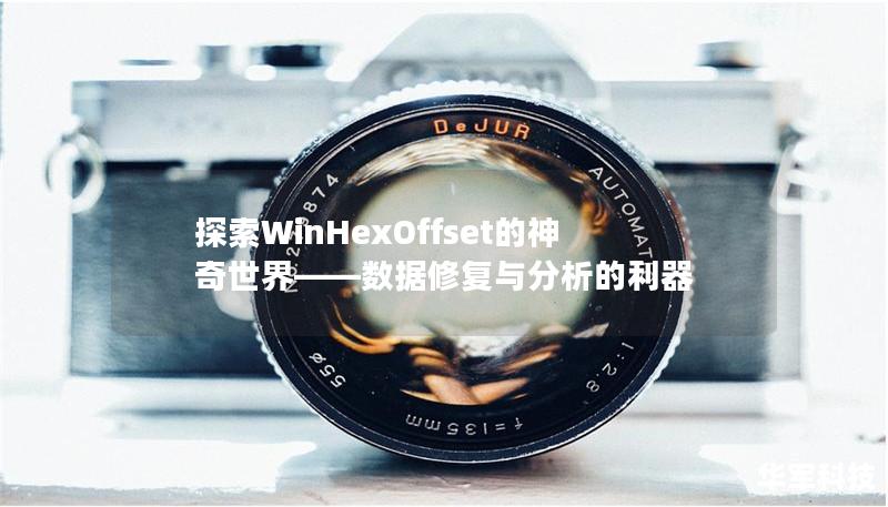 探索WinHexOffset的神奇世界——數據修復與分析的利器