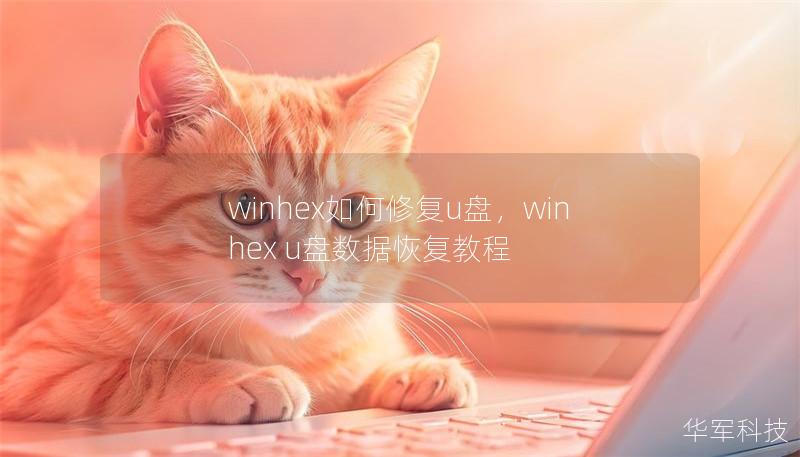 winhex如何修復(fù)u盤，winhex u盤數(shù)據(jù)恢復(fù)教程