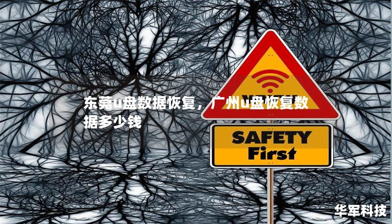 東莞u盤數(shù)據(jù)恢復，廣州u盤恢復數(shù)據(jù)多少錢