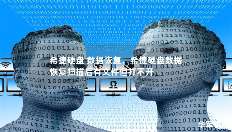 希捷硬盤 數據恢復，希捷硬盤數據恢復掃描后有文件但打不開