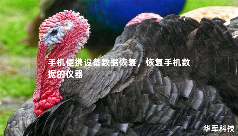 手機便攜設備數據恢復，恢復手機數據的儀器