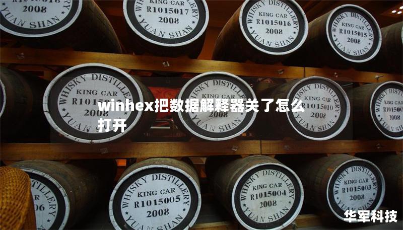 winhex把數據解釋器關了怎么打開
