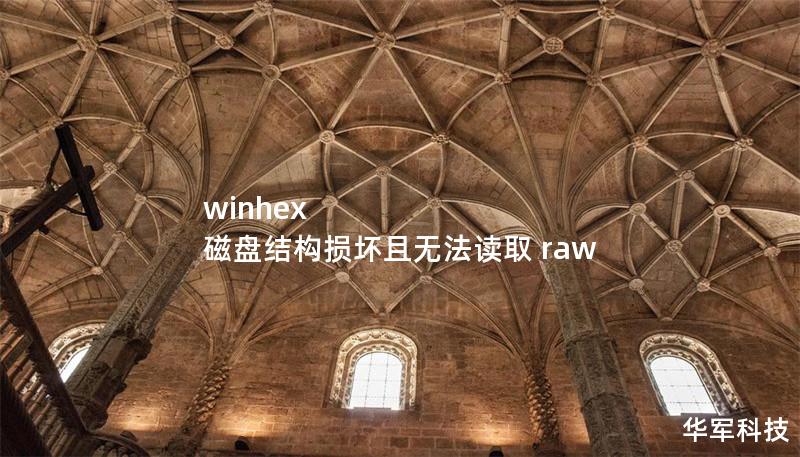winhex 磁盤結構損壞且無法讀取 raw