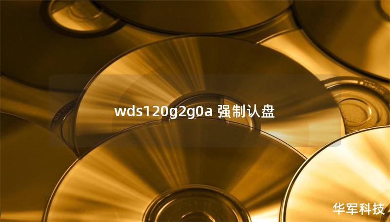 wds120g2g0a 強制認盤