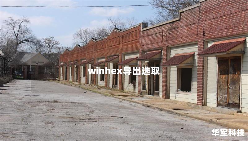 winhex導出選取 winhex導出選取