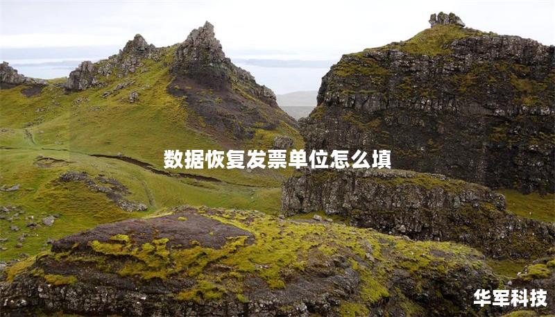 數據恢復發票單位怎么填