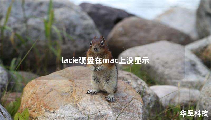 lacie硬盤(pán)在mac上沒(méi)顯示