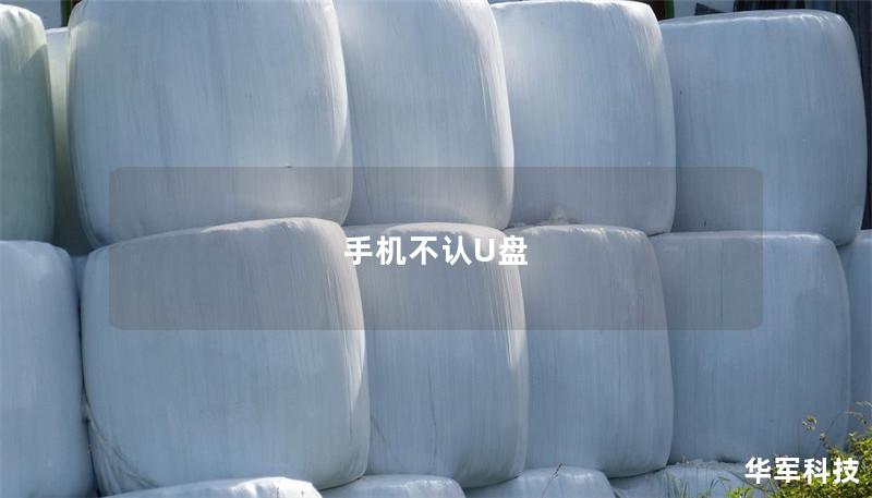 手機(jī)不認(rèn)U盤(pán)