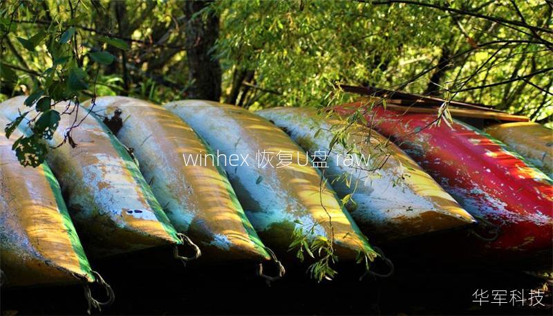 winhex 恢復U盤 raw