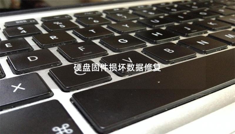 硬盤固件損壞數據修復