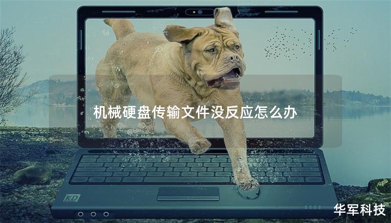 機械硬盤傳輸文件沒反應(yīng)怎么辦