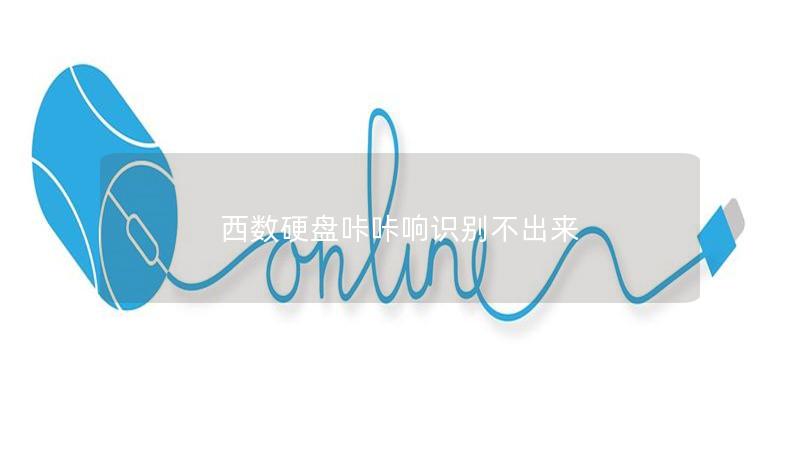 西數(shù)硬盤咔咔響識別不出來