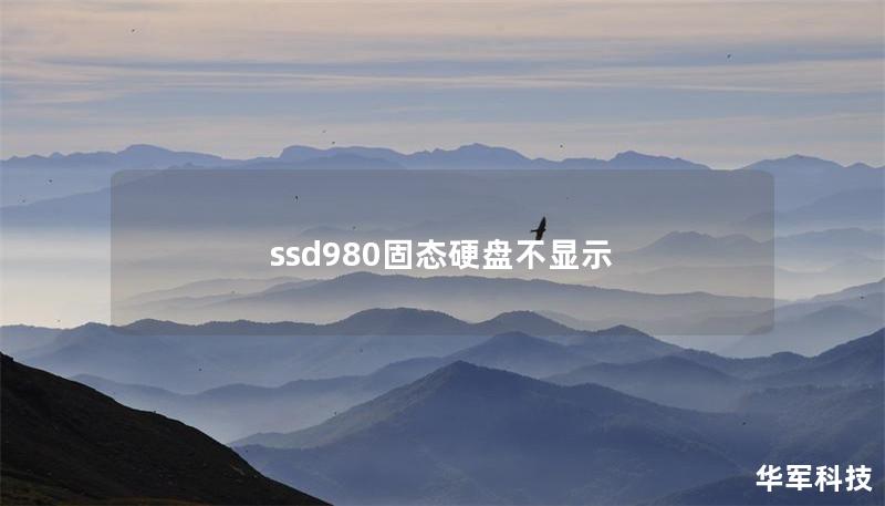 ssd980固態硬盤不顯示