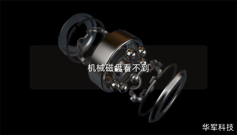 機械磁盤看不到