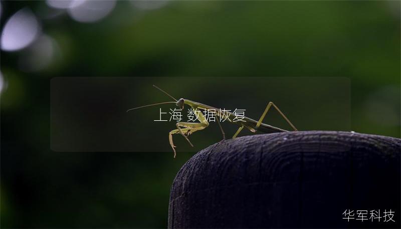 上海 數(shù)據(jù)恢復(fù)