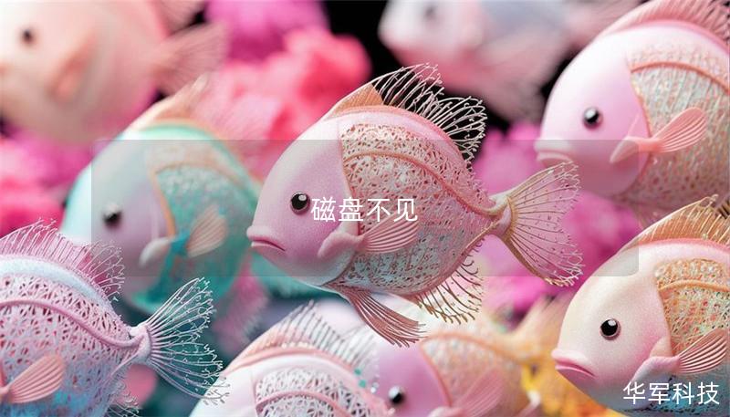 磁盤(pán)不見(jiàn)