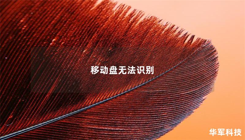 移動盤無法識別