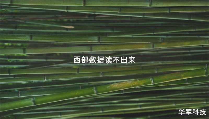 西部數(shù)據(jù)讀不出來