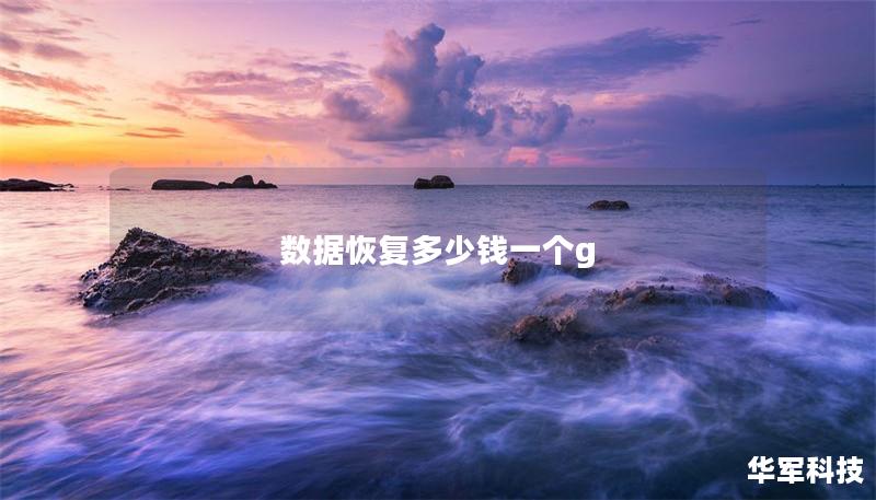 數(shù)據恢復多少錢一個g
