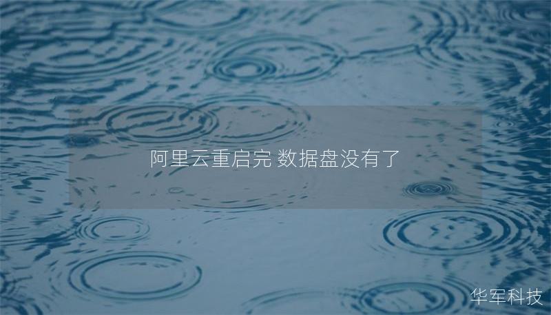 阿里云重啟完 數據盤沒有了