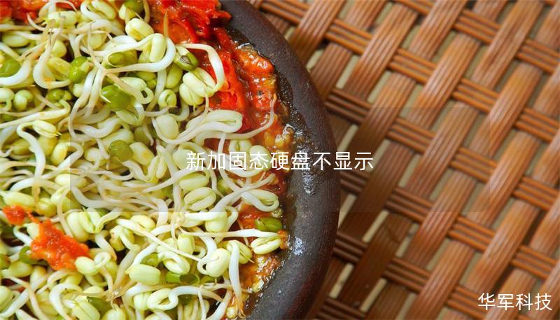 新加固態硬盤不顯示