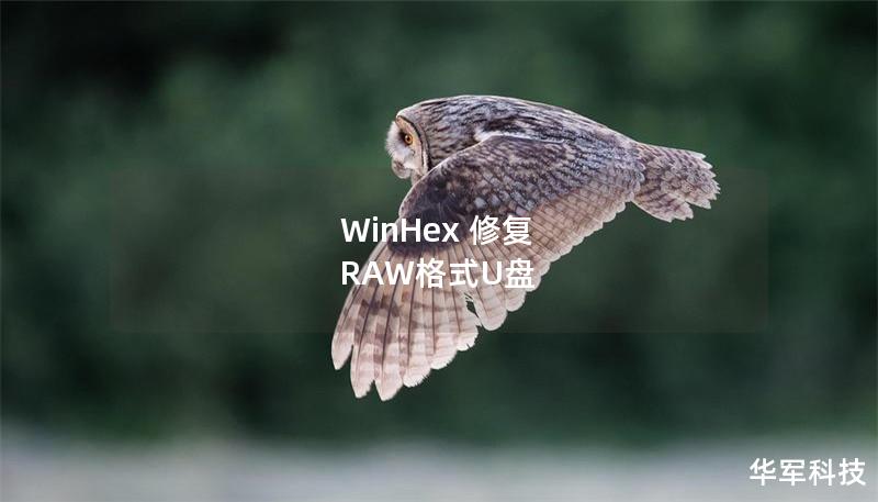 WinHex 修復(fù) RAW格式U盤(pán)