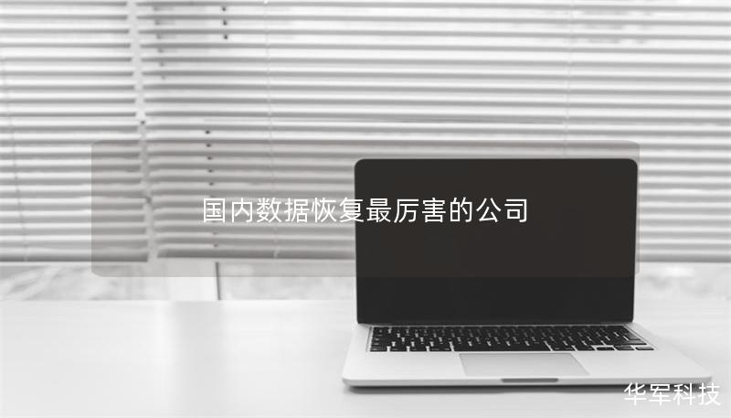 國內數據恢復最厲害的公司 國內數據恢復最厲害的公司