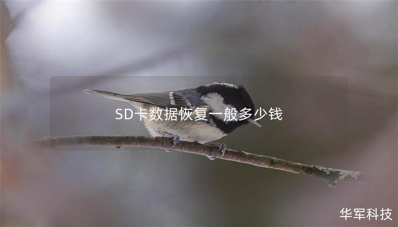 SD卡數據恢復一般多少錢