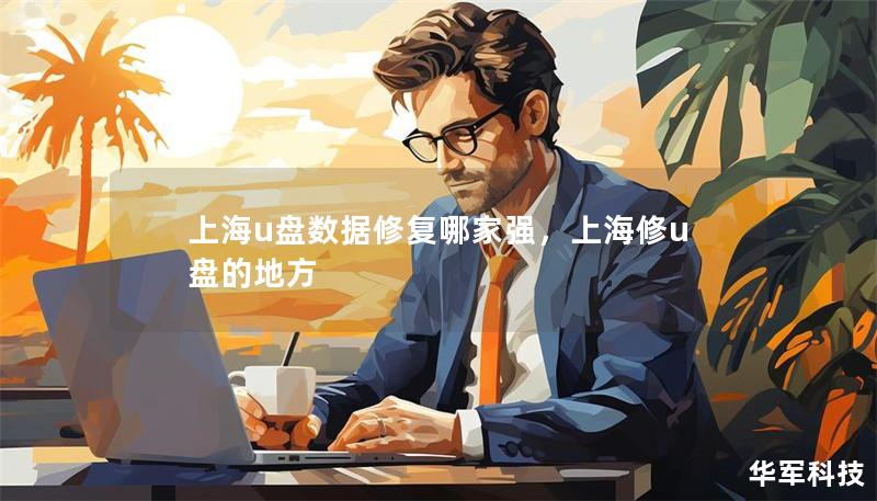 上海u盤數(shù)據(jù)修復(fù)哪家強(qiáng)，上海修u盤的地方