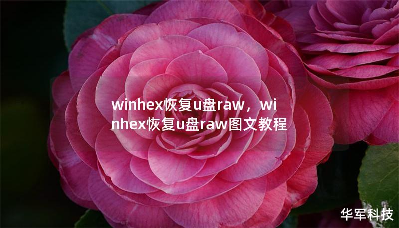 winhex恢復u盤raw，winhex恢復u盤raw圖文教程