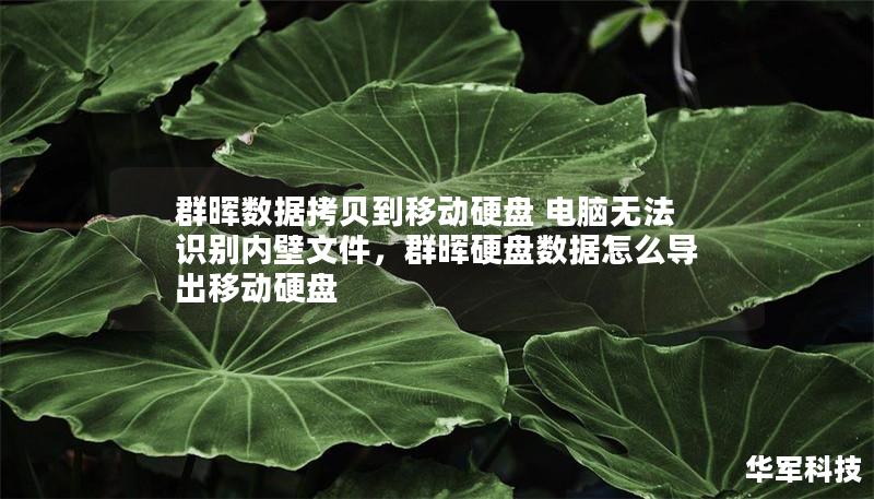 群暉數(shù)據(jù)拷貝到移動(dòng)硬盤(pán) 電腦無(wú)法識(shí)別內(nèi)壁文件,群暉硬盤(pán)數(shù)據(jù)怎么導(dǎo)出移動(dòng)硬盤(pán) 群暉數(shù)據(jù)拷貝到移動(dòng)硬盤(pán) 電腦無(wú)法識(shí)別內(nèi)壁文件,群暉硬盤(pán)數(shù)據(jù)怎么導(dǎo)出移動(dòng)硬盤(pán)