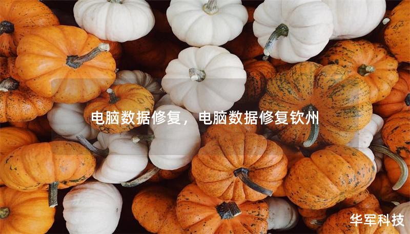 電腦數據修復，電腦數據修復欽州