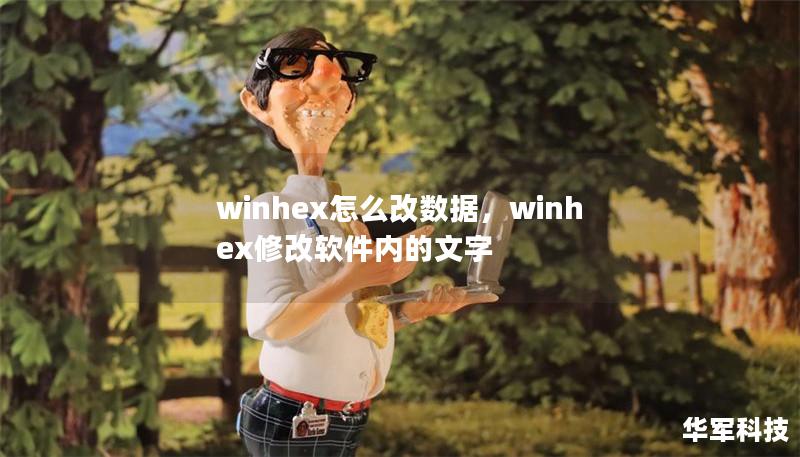 winhex怎么改數據，winhex修改軟件內的文字
