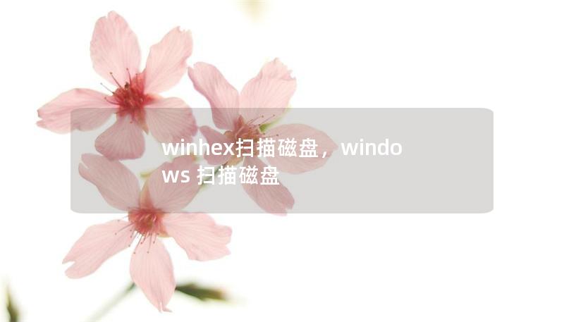 winhex掃描磁盤，windows 掃描磁盤